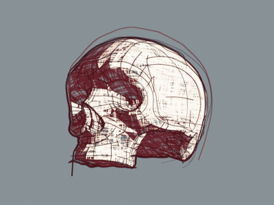 Toon Skull 3d 3d animation after effect aftereffects cc cinema4d design illustration logo sketch toon