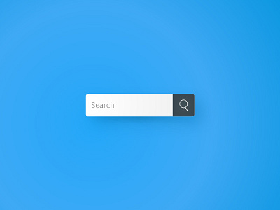 Daily UI 022: Search