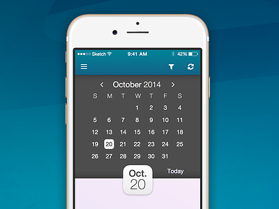 iOS App Datepicker app calendar datepicker ios timeline ux