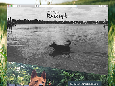 Raleigh's Page dog webpage website