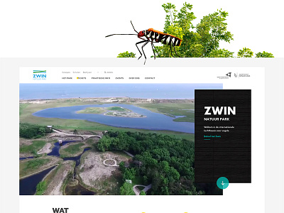 Zwin // redesign Drupal website