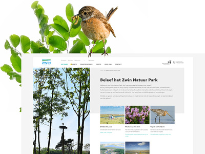 Zwin // redesign Drupal website