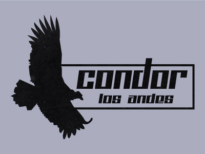 Condor - Los Andes art brand branding design flat icon icons identity illustration illustrator logo mobile ui vector web