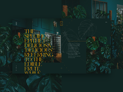 Monstera Deliciosa branding concept design flat fullscreen grid illustration luxury minimal serif typography webdesign yellow