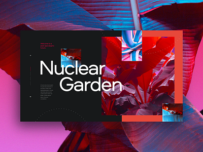 Nuclear Garden branding colorful colors concept dark garden grid minimal plants typography ui ux vibrant webdesign