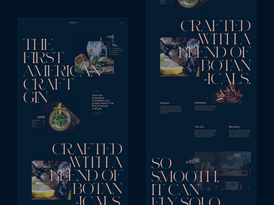 American Craft Gin alcohol brand branding concept elegant grid luxury minimal serif typography ui ux web webdesign website