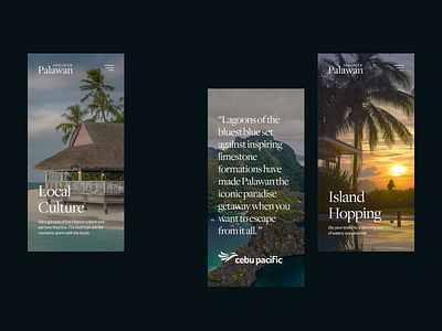 Discover Palawan - Mobile UI Explorations