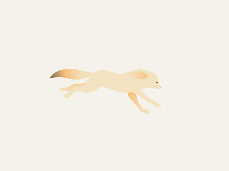 fennec walkcycle animation character animation character creation design flat illustration minimal motion motion animation motion graphics ui vector web