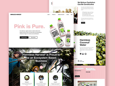 Harmless Harvest Homepage bold fair trade homepage landing layout marketing pink product ui ux website