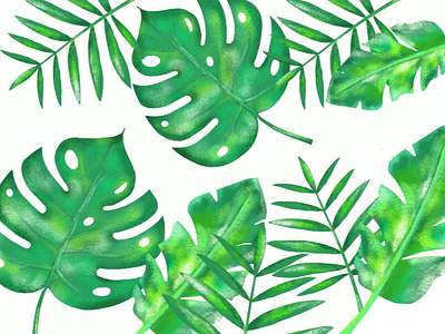 Tropical Leaves animation illustration ipad pro movement procreate app tropical leaves