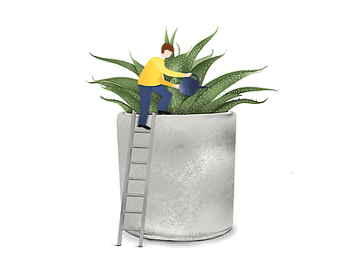 Succulent plant in cement pot illustration