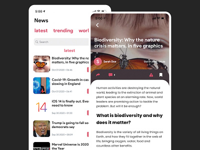 XSNews | Blog/Magazine Application