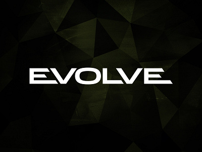 Evolve Logo brand evolve future identity logo