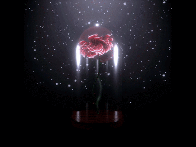 Winter Bloom 2020 3d cinema4d flower roses winter