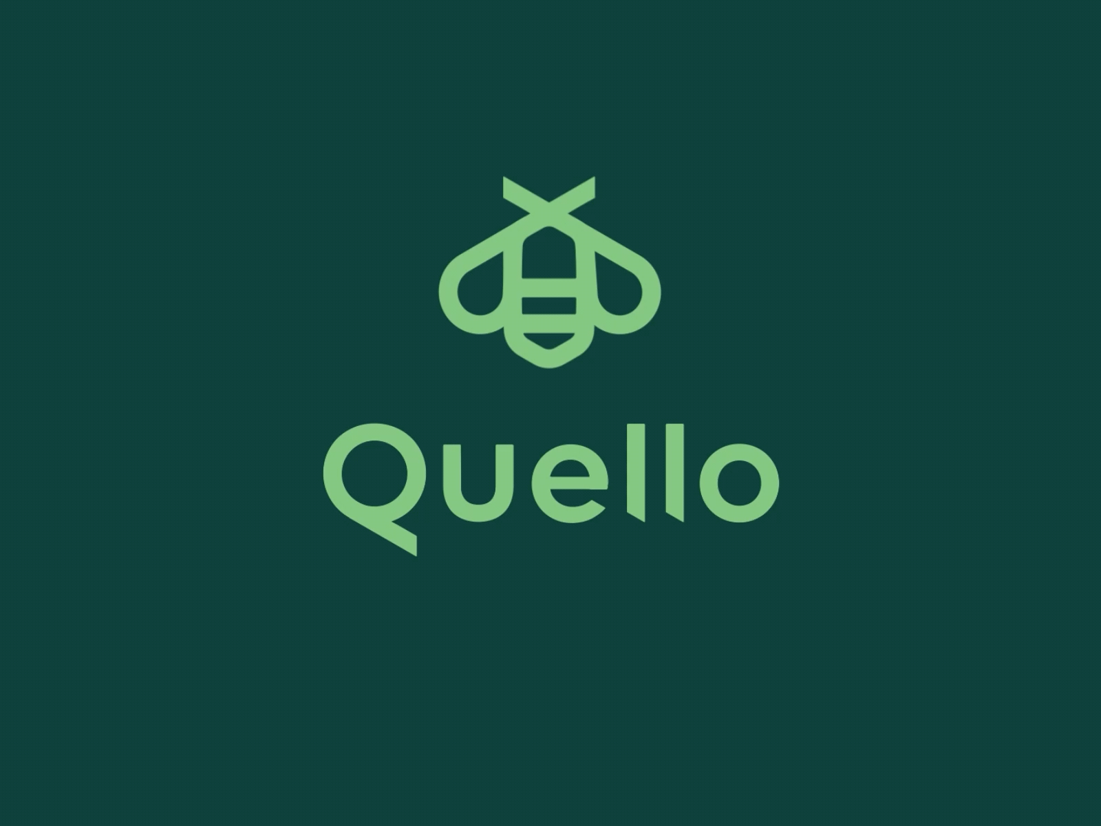 Quello branding design graphic design illustration logo