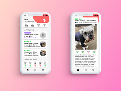 Walk'd - Dog Walking App