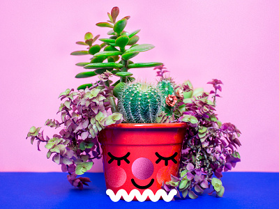 Clown + plants
