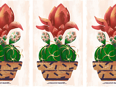 🌵 Cactus 🌵 botanic botanical cactus floral flower garden green illustration natural pink plants