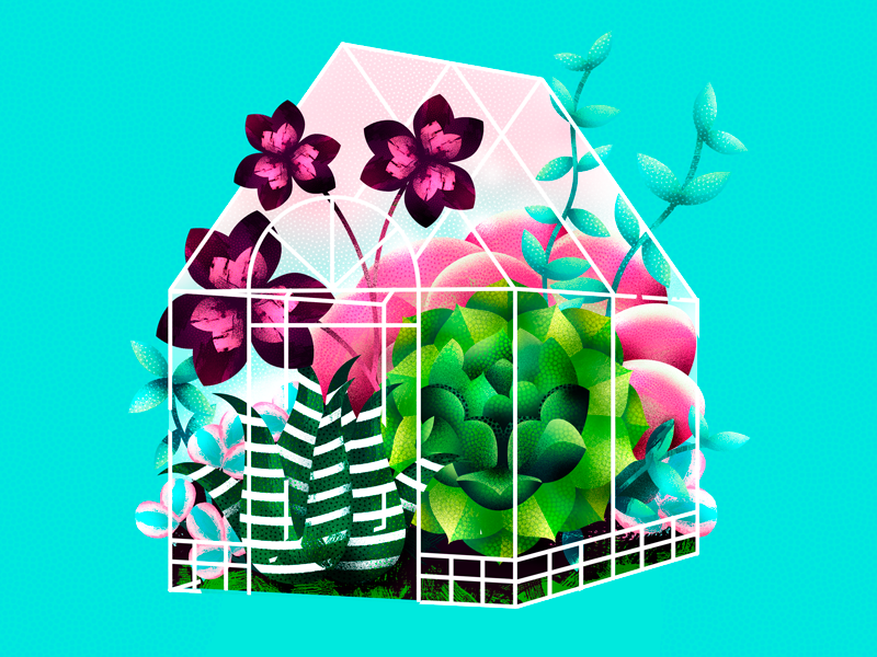 Greenhouse garden succulent illustration flower digital natural botanic plant greenhouse