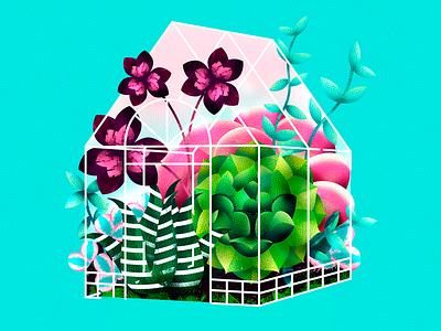 Greenhouse botanic digital flower garden greenhouse illustration natural plant succulent