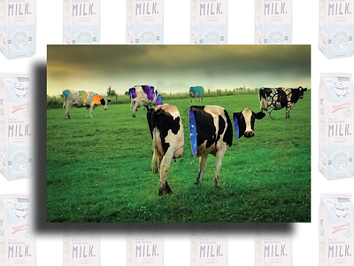 Galaxy Milk digital design graphic design photography