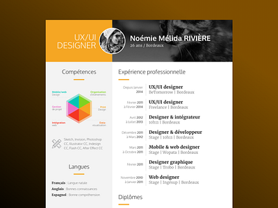 Resume curriculum vitæ cv datavisualization experience france infographic print print design resume skills