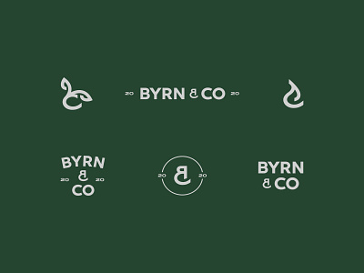 Byrn & Co Branding 2d adobe illustrator branding daily dark green design flat font icon identity logo logo design logotype minimal wip