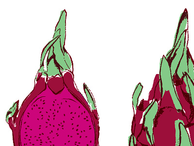 Growl Juice Pub Illustrations benefits branding cold pressed juice design fruit menu organic pitaya veggies