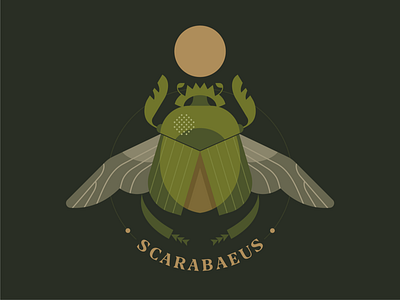 Scarabaeus  sacer