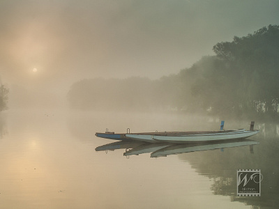 Avon River Mist and Fog