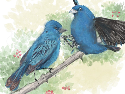 Indigo buntings