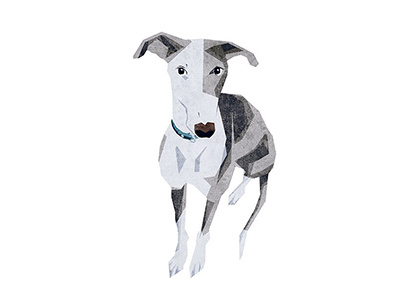 jojo greyhound illustration