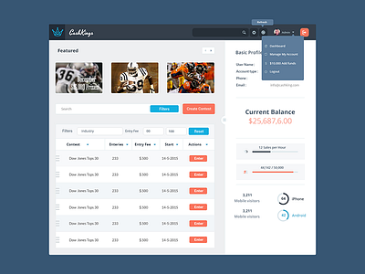 Cash King Dashboard dashboad interface template ui ux