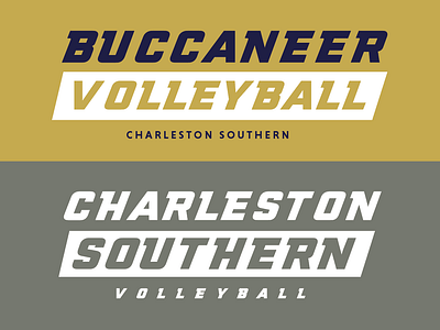 D1 Women's CSU Volleyball: Practice shirts 2019 sport sports design tee shirt typography