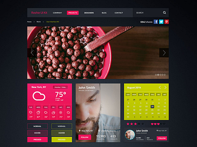 Roshie – Main Elements (PSD) cool ui kit corporate design gui navigation psd trendy ui template web design web kit web ui website