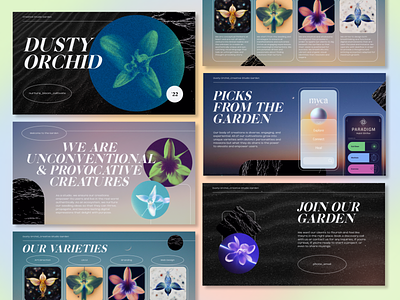 Dusty Orchid | Creative Studio Garden | Pitch x Dribbble Playoff app art direction branding deck design graphic design motion graphics pitch powerpoint presentation typography ui ux winner