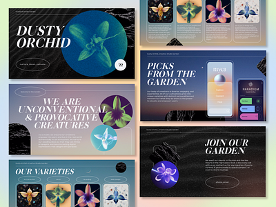 Dusty Orchid | Creative Studio Garden | Pitch x Dribbble Playoff