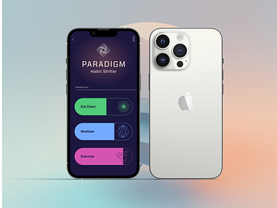 Paradigm App Design