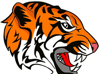 Tiger Tiger branding energy illustration sketching vector