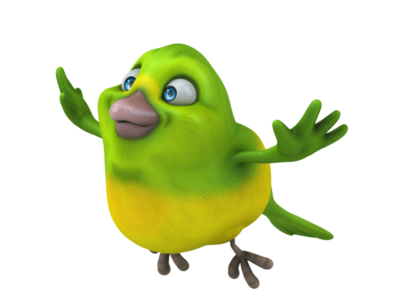 Green bird 3d 3dsmax animal animation bird cartoon character character animation character creation fly flying fun modo zbrush