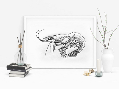 Linocut Prawn art blockprint linocut lobster prawn