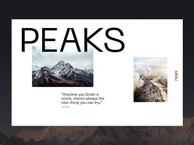 PEAKS