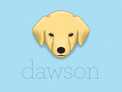 Puppy Dawson illustration practice shading
