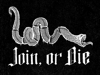 Join, or Die america blackletter freedom illustration ink join or die lettering pen snake typography union