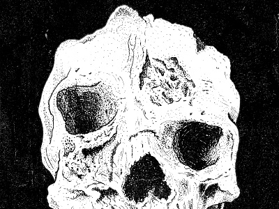 Deformation Ink detail eyes handdrawn illustration ink metal pen pencil skeleton skull