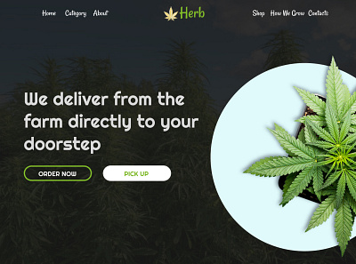 Herb/ cannabis inspiration branding cannabis figma natural organic webdesigns website weeds brand