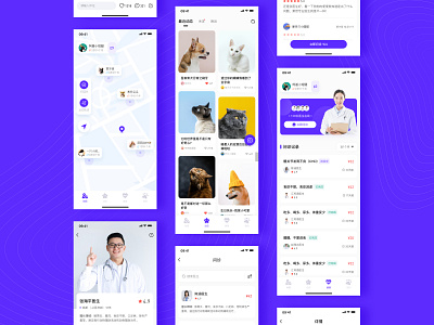 Pet App design app pet app pet design pet doctor ui ui ux uidesign