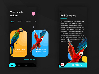 Daily practice of Nature recognition APP animal app app design practice ui ui ux uidesign ux