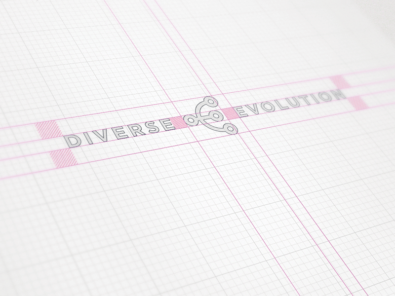 DiverseEvolution branding cms custom logo software web design