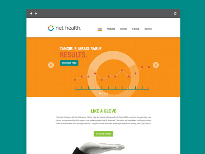 Nethealth Dribble branding web design